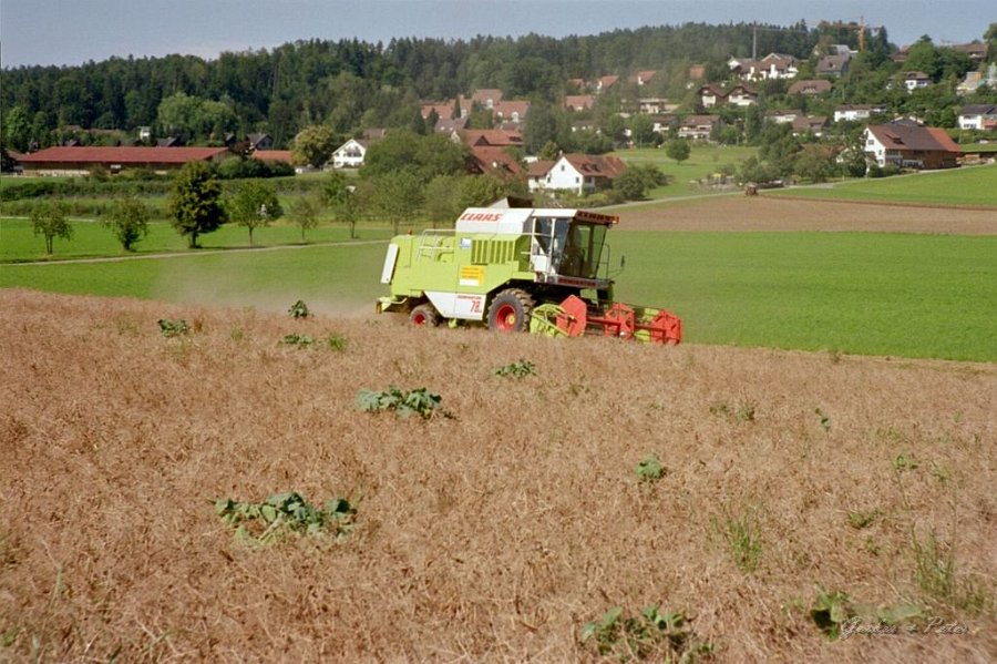 Claas Drescher 13